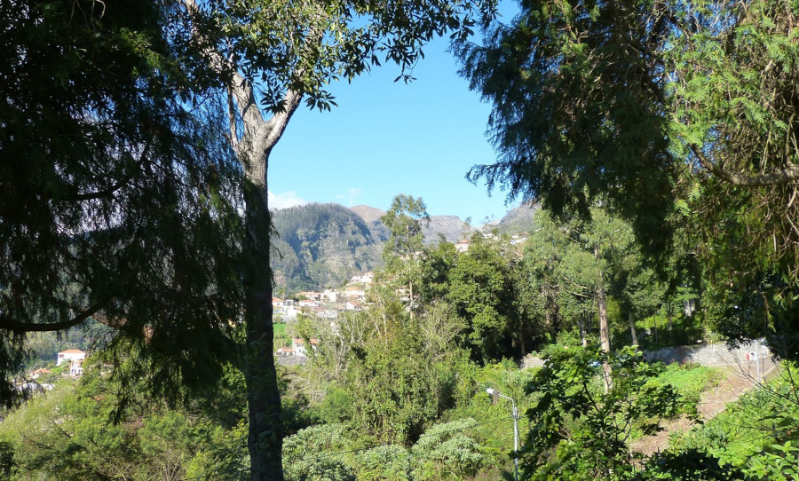  Vigilantes da Natureza em luta pela valorização da carreira