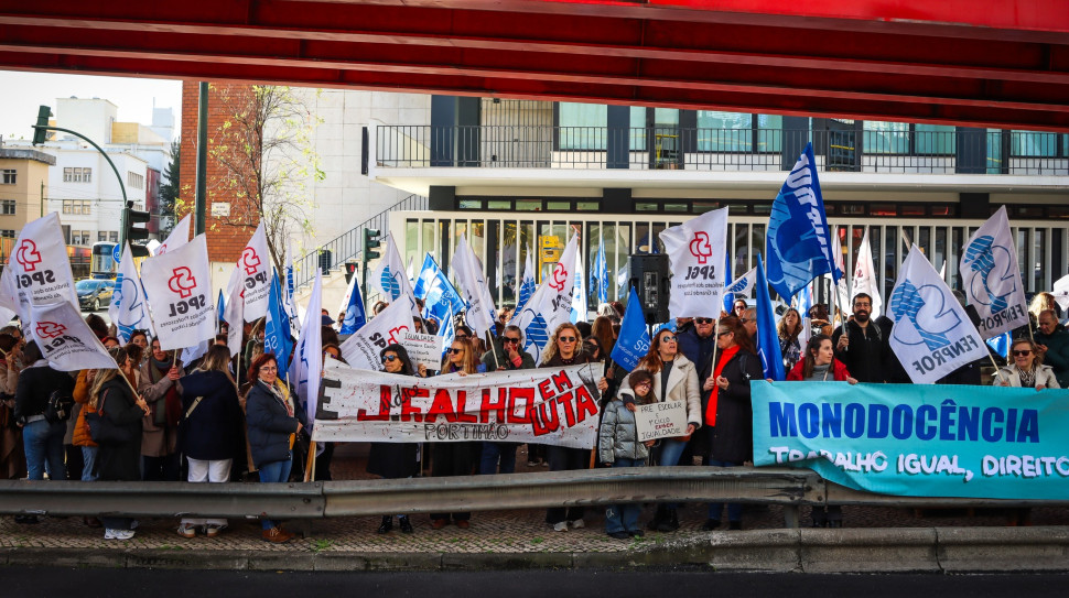 fenprof monodocencia1