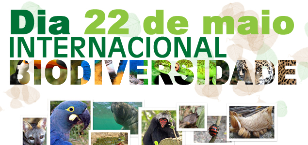 dia biodiversidade 22 maio